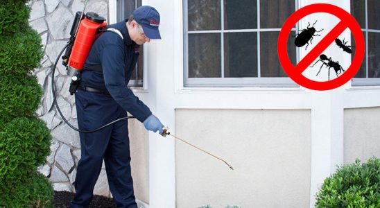 İncesu Hamam Böceği İlaçlama böcek ilaçlama ve haşere kontrolü — ilaclama-tr.com